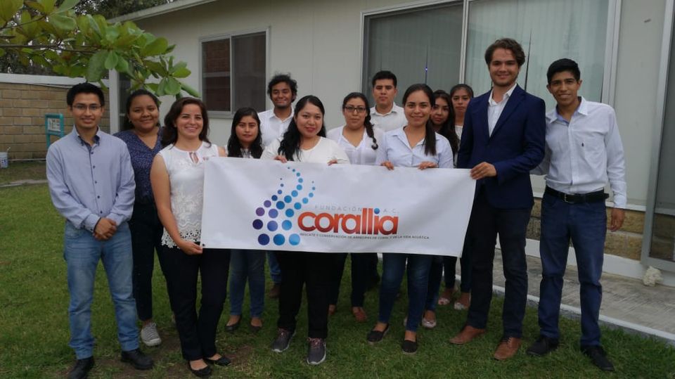 Fundacion Corallia AC equipo de trabajo